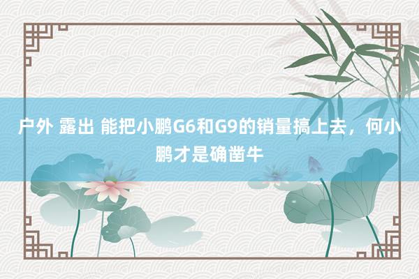 户外 露出 能把小鹏G6和G9的销量搞上去，何小鹏才是确凿牛