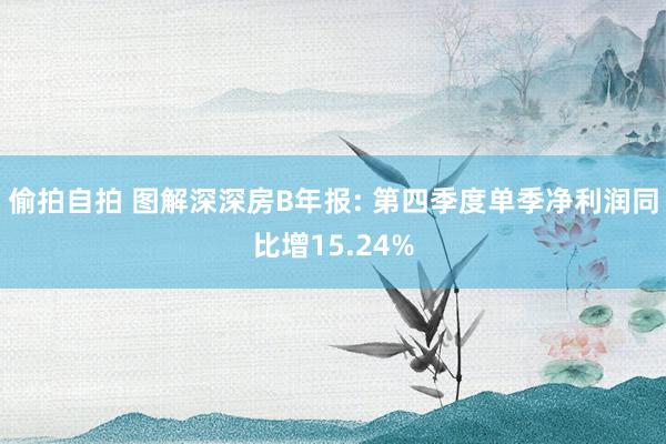 偷拍自拍 图解深深房B年报: 第四季度单季净利润同比增15.24%