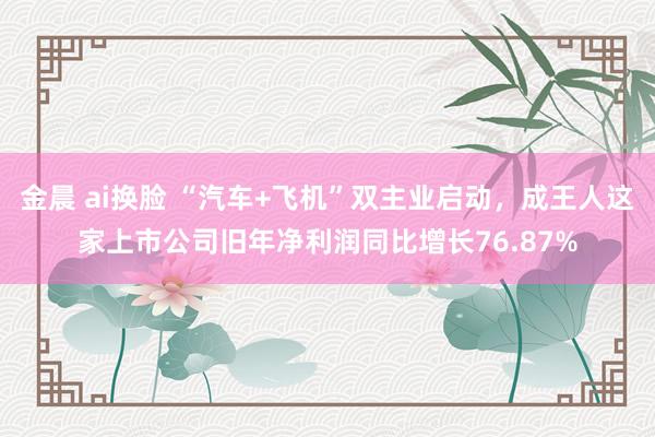 金晨 ai换脸 “汽车+飞机”双主业启动，成王人这家上市公司旧年净利润同比增长76.87%