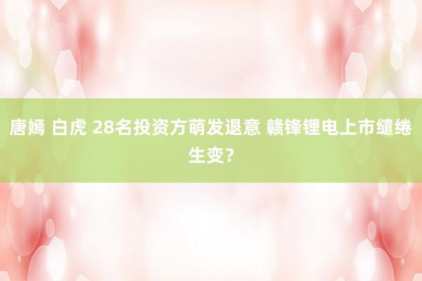 唐嫣 白虎 28名投资方萌发退意 赣锋锂电上市缱绻生变？