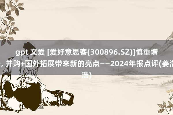 gpt 文爱 [爱好意思客(300896.SZ)]慎重增长， 并购+国外拓展带来新的亮点——2024年报点评(姜浩)