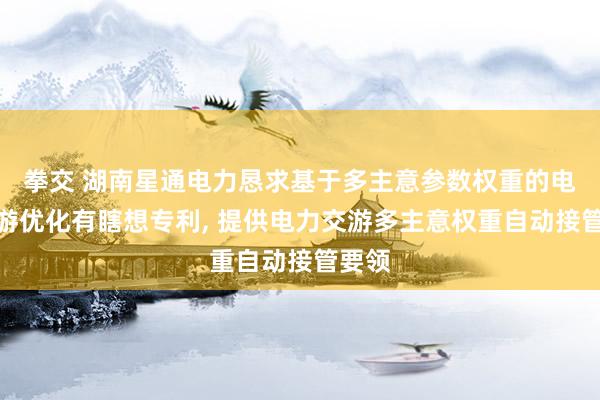 拳交 湖南星通电力恳求基于多主意参数权重的电力交游优化有瞎想专利， 提供电力交游多主意权重自动接管要领
