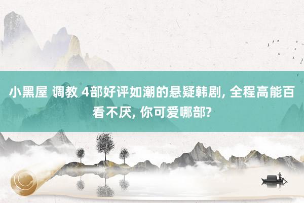 小黑屋 调教 4部好评如潮的悬疑韩剧， 全程高能百看不厌， 你可爱哪部?