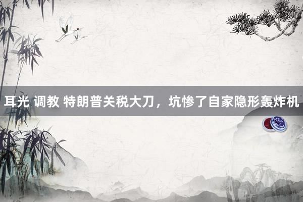 耳光 调教 特朗普关税大刀，坑惨了自家隐形轰炸机