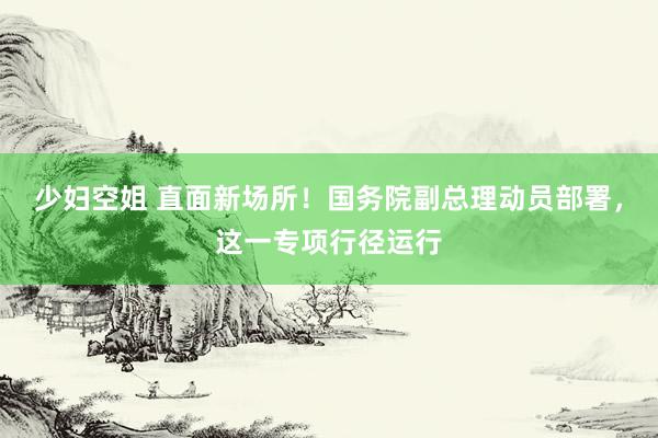 少妇空姐 直面新场所！国务院副总理动员部署，这一专项行径运行