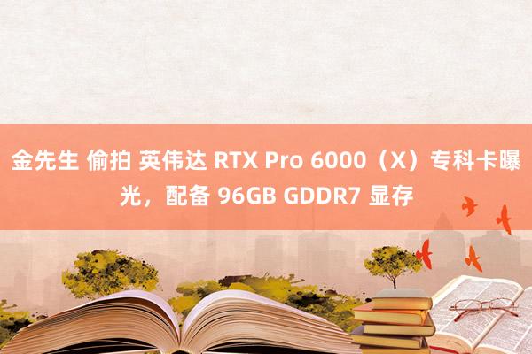 金先生 偷拍 英伟达 RTX Pro 6000（X）专科卡曝光，配备 96GB GDDR7 显存